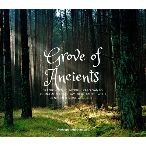 Grove of Ancients ~ Essential Oil Perfume/Ritual Blend